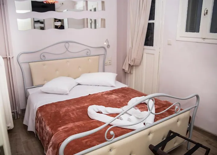 Asimoni 招待所 纳夫普利翁